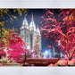 Salt Lake City Christmas Lights