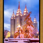 Salt Lake Christmas Temple