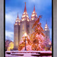 Salt Lake Christmas Temple
