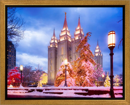 Salt Lake Christmas Temple