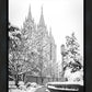 Salt Lake White Christmas
