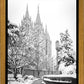 Salt Lake White Christmas