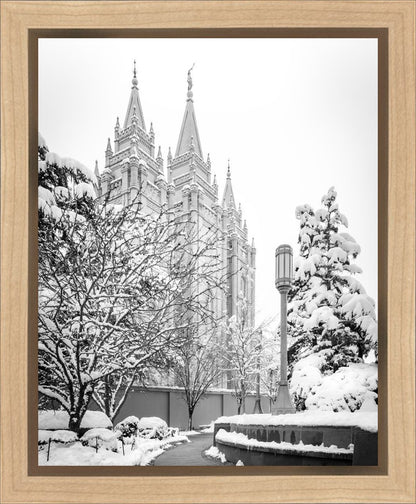 Salt Lake White Christmas