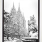 Salt Lake White Christmas