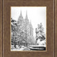 Salt Lake White Christmas
