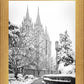 Salt Lake White Christmas