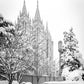 Salt Lake White Christmas
