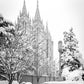 Salt Lake White Christmas