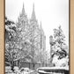 Salt Lake White Christmas
