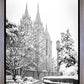 Salt Lake White Christmas