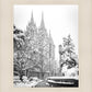 Salt Lake White Christmas