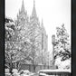 Salt Lake White Christmas