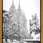 Salt Lake White Christmas