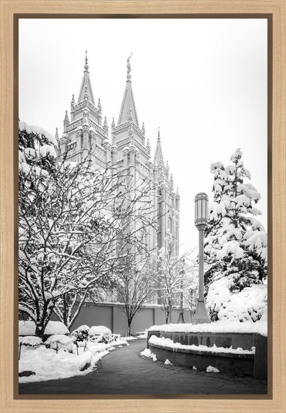 Salt Lake White Christmas