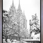 Salt Lake White Christmas