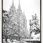 Salt Lake White Christmas