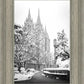 Salt Lake White Christmas
