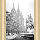 Salt Lake White Christmas