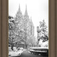 Salt Lake White Christmas