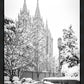 Salt Lake White Christmas