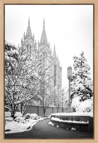 Salt Lake White Christmas