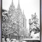 Salt Lake White Christmas