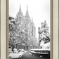 Salt Lake White Christmas