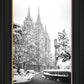 Salt Lake White Christmas