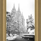 Salt Lake White Christmas