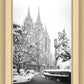 Salt Lake White Christmas