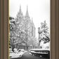 Salt Lake White Christmas