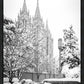Salt Lake White Christmas