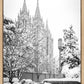 Salt Lake White Christmas