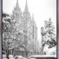 Salt Lake White Christmas
