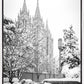 Salt Lake White Christmas