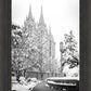 Salt Lake White Christmas