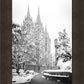 Salt Lake White Christmas