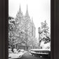 Salt Lake White Christmas