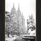Salt Lake White Christmas