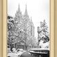 Salt Lake White Christmas