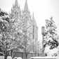 Salt Lake White Christmas