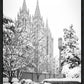 Salt Lake White Christmas