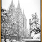 Salt Lake White Christmas