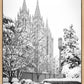 Salt Lake White Christmas