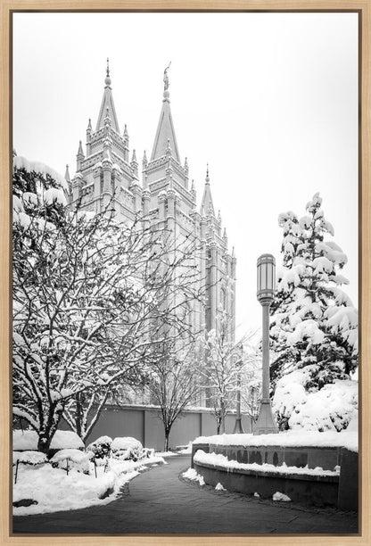 Salt Lake White Christmas