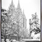 Salt Lake White Christmas