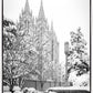 Salt Lake White Christmas