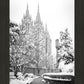 Salt Lake White Christmas