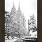 Salt Lake White Christmas