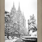 Salt Lake White Christmas